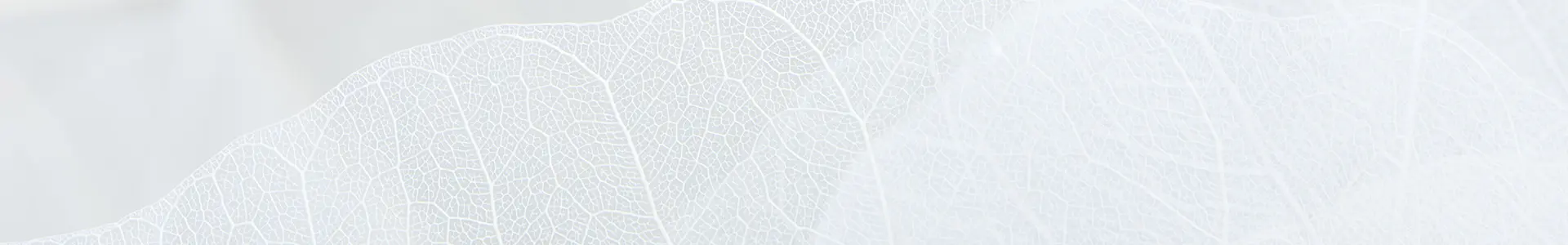 お問い合わせのメインビジュアル