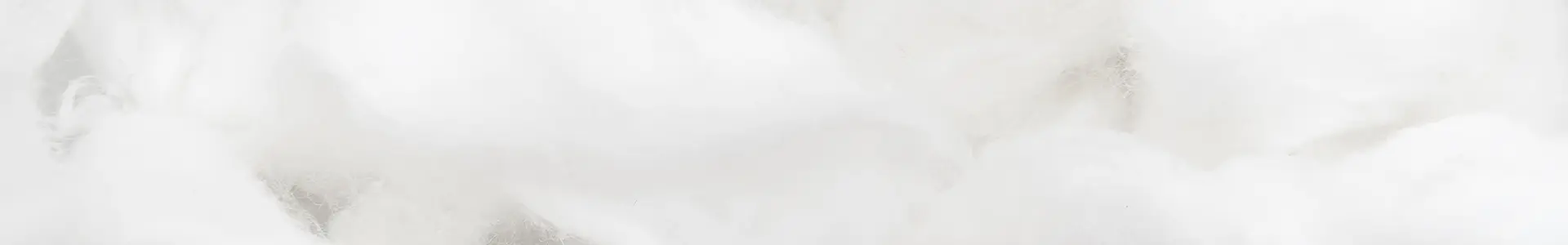 のメインビジュアル